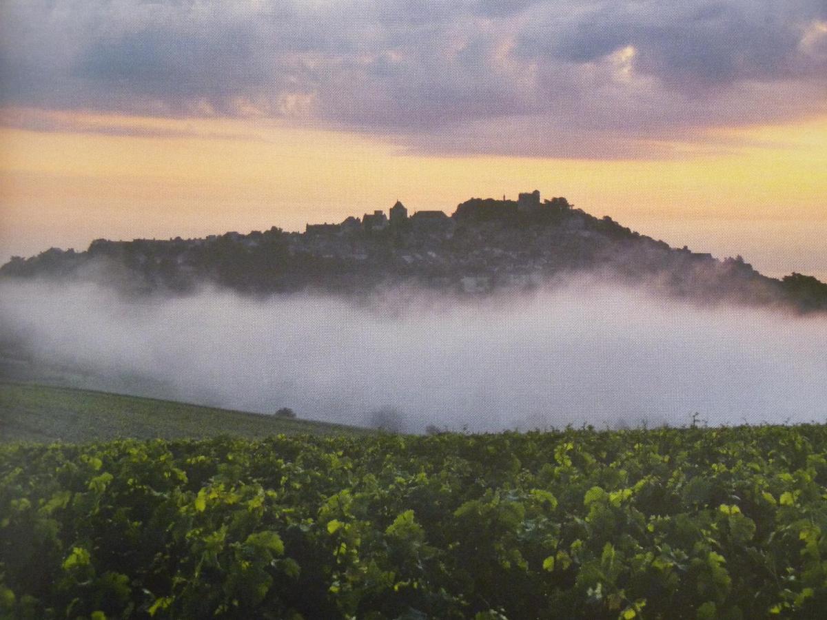 Maison Les Fossiles Sancerre Buitenkant foto